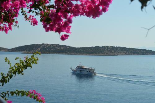 Angeliki's Apartments