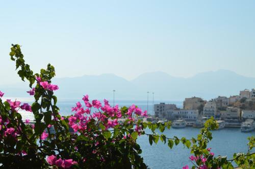 Angeliki's Apartments