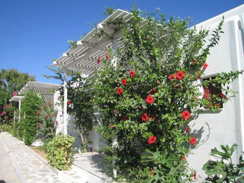 Hotel Surfing Beach Village Paros
