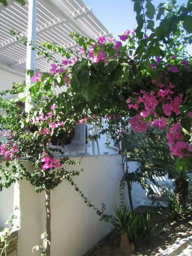 Hotel Surfing Beach Village Paros