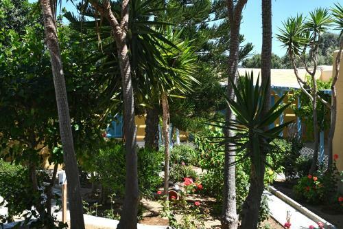 Hotel Surfing Beach Village Paros