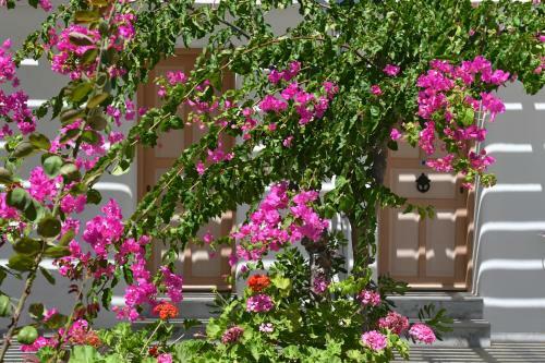 Hotel Surfing Beach Village Paros