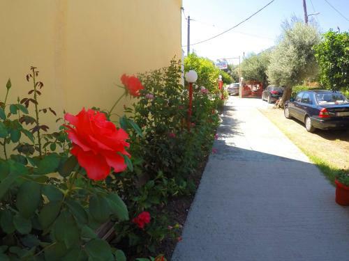 Apartamento Zacharogianni Studios