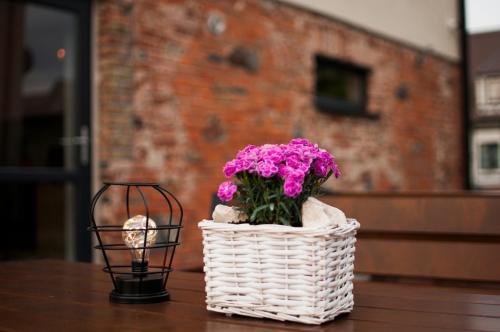 Apartamento Willa Ilona 1