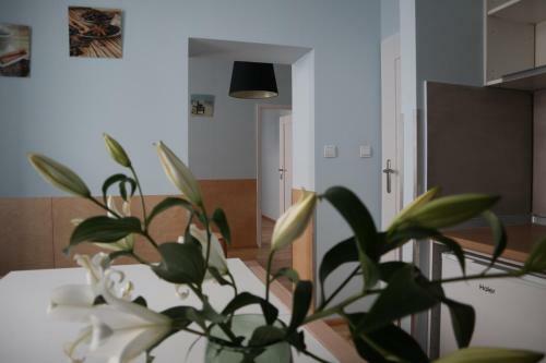 One More Night Apartment, Poznan Old Town