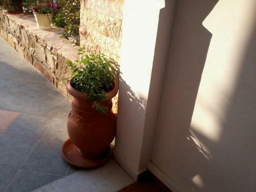 Apartamento Acti Plaka Hotel