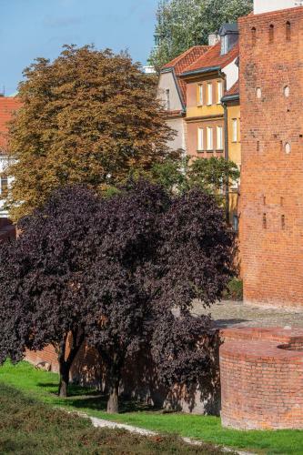 P&o Serviced Apartments Old Town Podwale