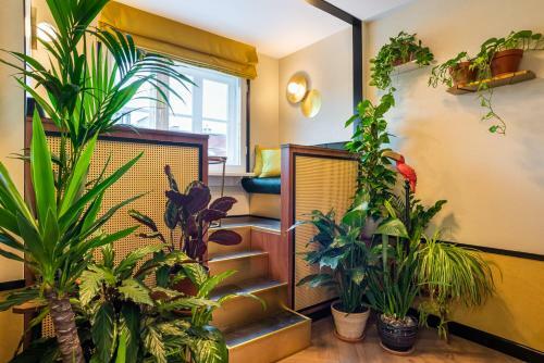 Sleepwell Boutique Apartments