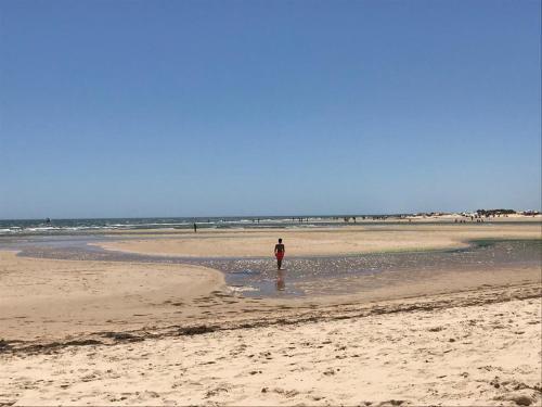 Apartamento Algarent Quinta Velha Jolie 11