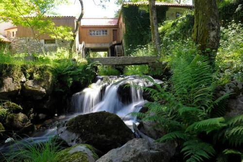 Alojamento Local - Apartamentos - Celorico de Basto An