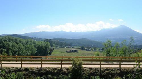Alojamento Local - Apartamentos - Celorico De Basto Bc