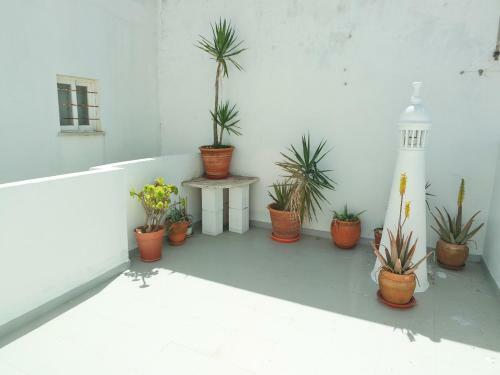 C01 - Blue Door City Apartment