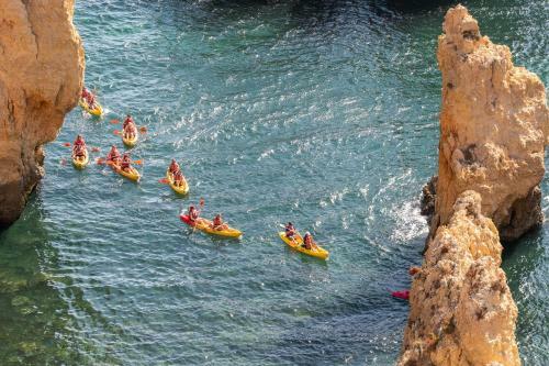 Apartamento Sol & Cidade 73 By Destination Algarve