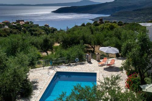 The Olive Grove Boutique Villas