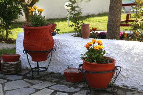 Apartamento Betahomes- Summer