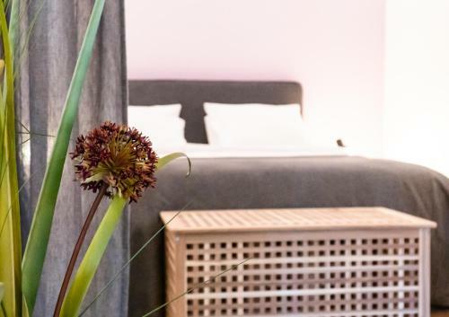 Apartamento Bairro Das Flores