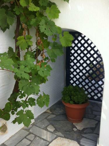 Apartamento Studios Eleni I