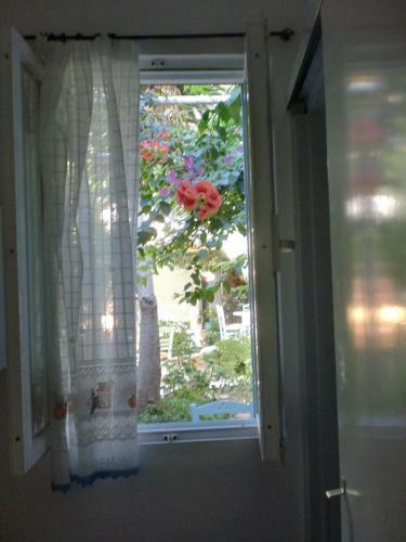 Apartamento Nikoleta Rooms