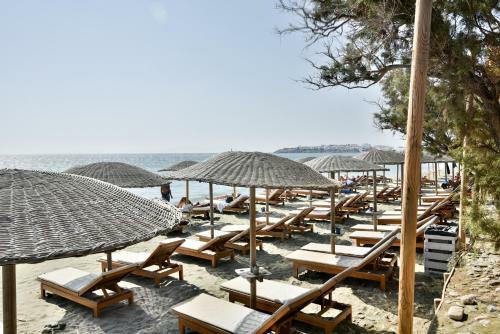 Golden Beach Hotel & Apartments