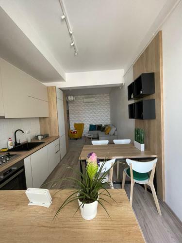 Luxury Apartments Palas Mall Centru