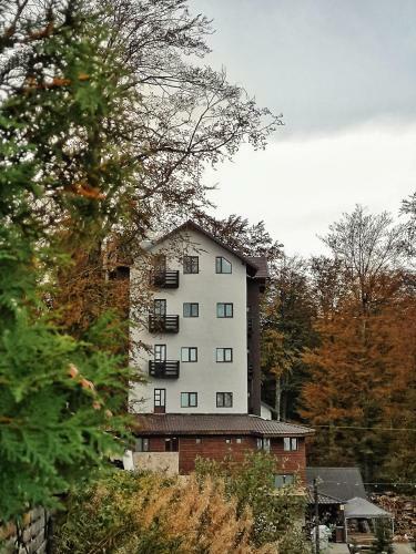 Hostal Dor De Munte Straja