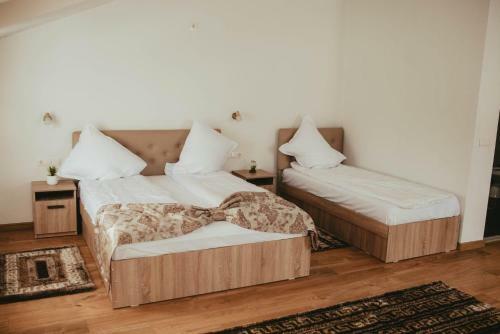 Hostal Pensiunea Alexa
