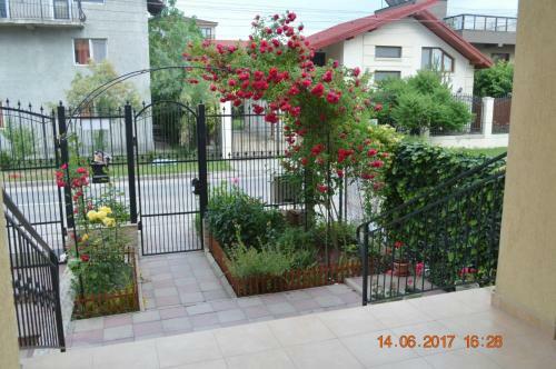 Hostal Summer Rain Mamaia Nord