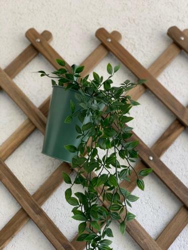 Apartamento Sunshine Residence Ap 10