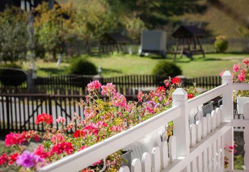 Hostal Vila Anelisse