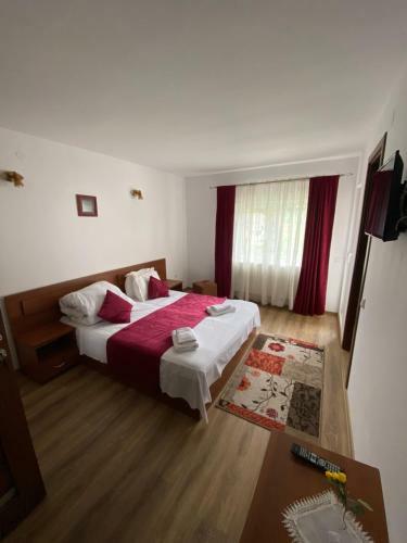 Hostal Regina Mun?ilor