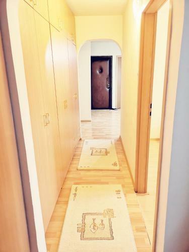 Lidiana Oradea Apartment
