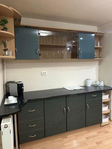 Lidiana Oradea Apartment