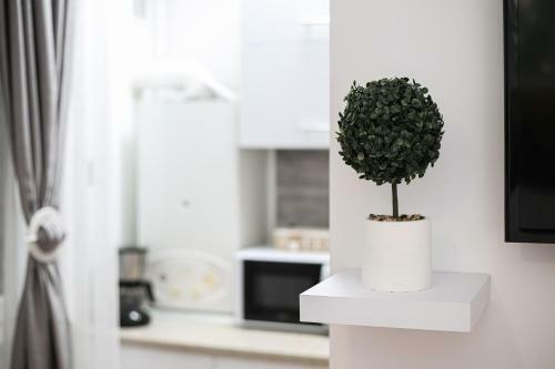 Ra Apartment - Ared