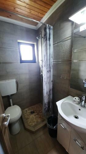 Hostal Casa De Vacanta Two Brothers Concept