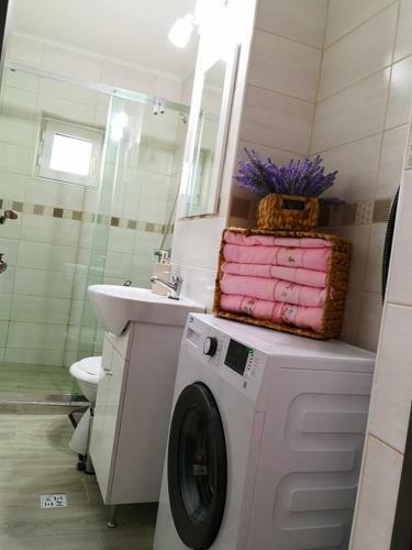 Apartamento Ploiesti City Studio