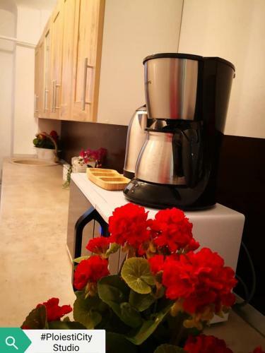 Apartamento Ploiesti City Studio