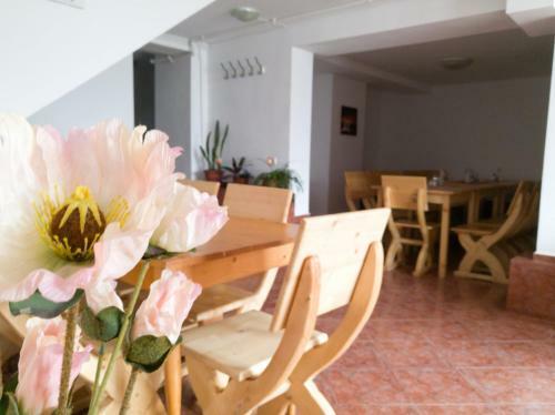 Hostal Vitalis Family