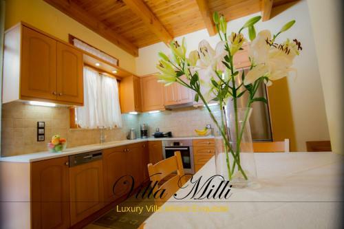 Villa Milli