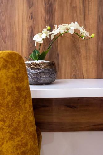 Hostal Vila Simonte Poiana Brasov