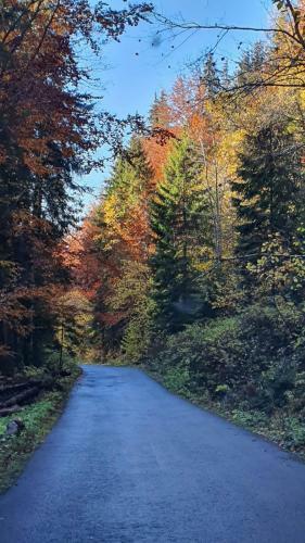 Albergue Erzs�bet Sz�ll�