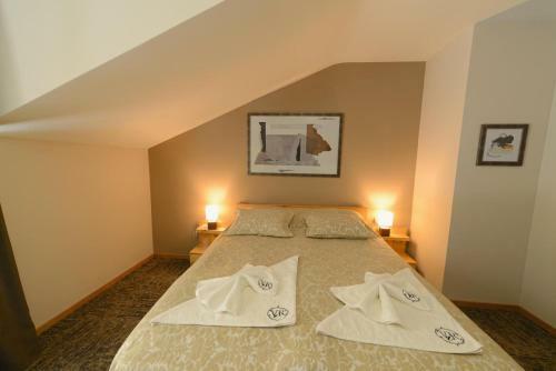 Hotel Vir Villa
