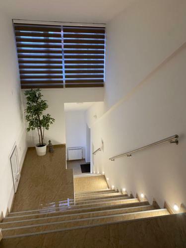 Apartamento Marino Lux Preno?i?te