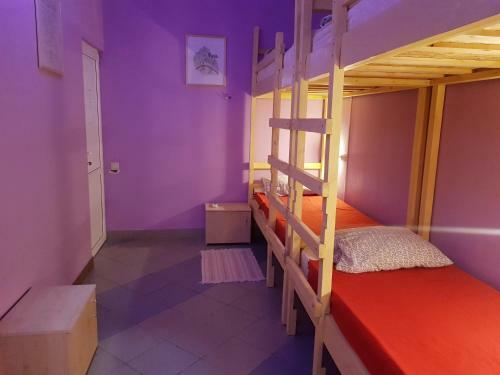 Albergue ?????? ???????????