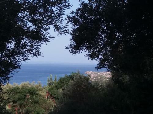 Apartamento Belvedere Zakynthos Studios