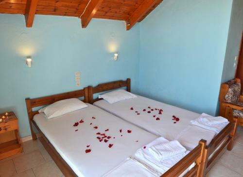 Apartamento Belvedere Zakynthos Studios