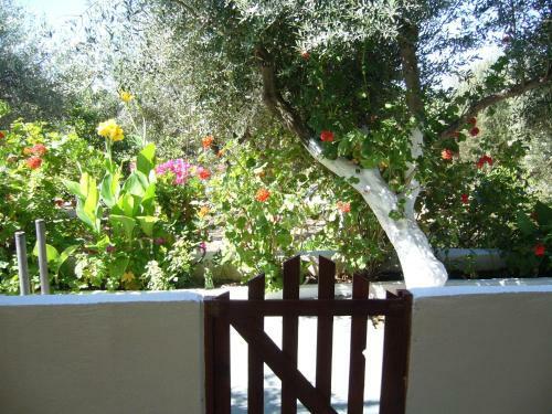 Apartamento Eleftheria Studios