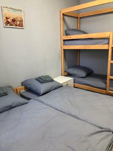 Albergue ?????? �??? ?????? �