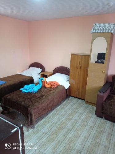 Hostal ???????? ??? ?????