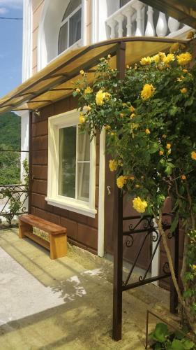 Hostal Guest House Natali