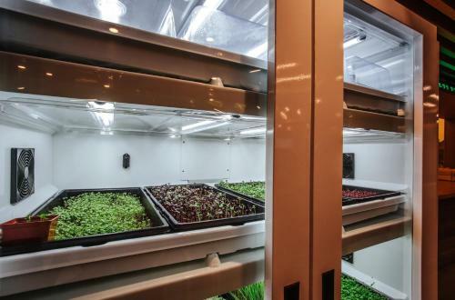 Hotel X-clinic